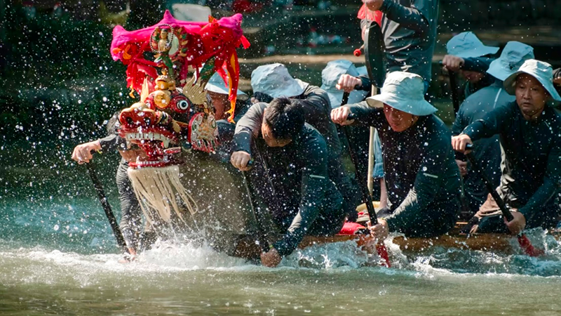 At the Hangzhou Dragon Boat Festival races, the rowers strain at their oars with fierce determination.