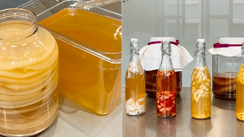 Kombucha in the process of being made and kombucha that has been bottled into small bottles.