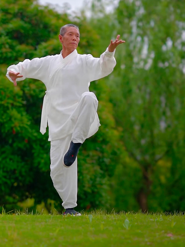 Beijing Tai Chi: Learn Chinese Kong Fu With Locals