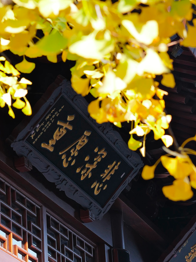Golden ginkgo leaves framing traditional Chinese temple plaque at Jade Buddha Temple