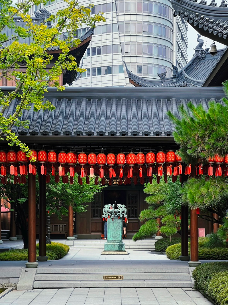 Peaceful temple garden pathway with red lanterns at Jade Buddha Temple