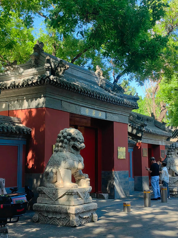 Historic entrance of Fayuan Temple featuring traditional Chinese architecture and stone guardian lions near Niujie