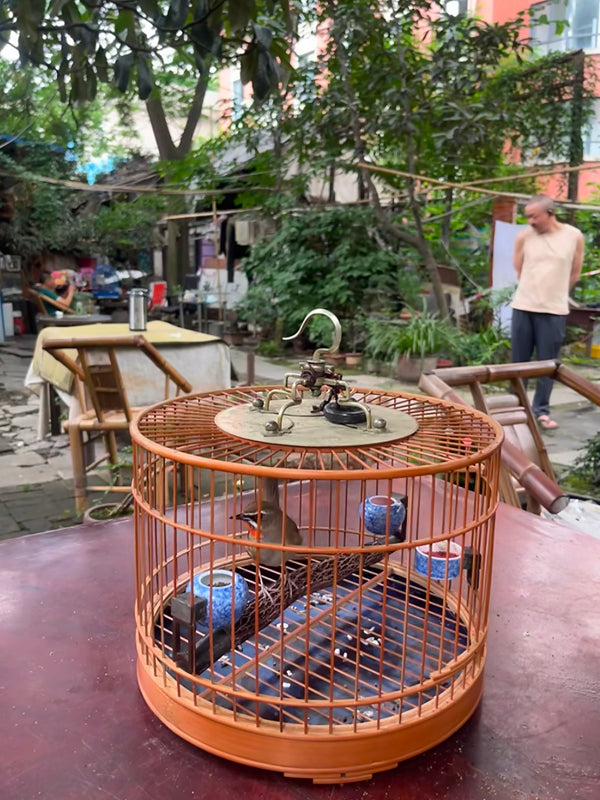 Traditional bamboo birdcage in a peaceful Chengdu courtyard with a local resident in the background, representing laid-back daily life