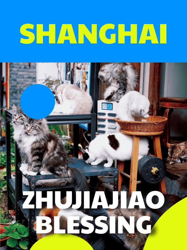 Zhujiajiao Blessing Experience: Temple Rituals, Paper Cutting & Jade Name Carving