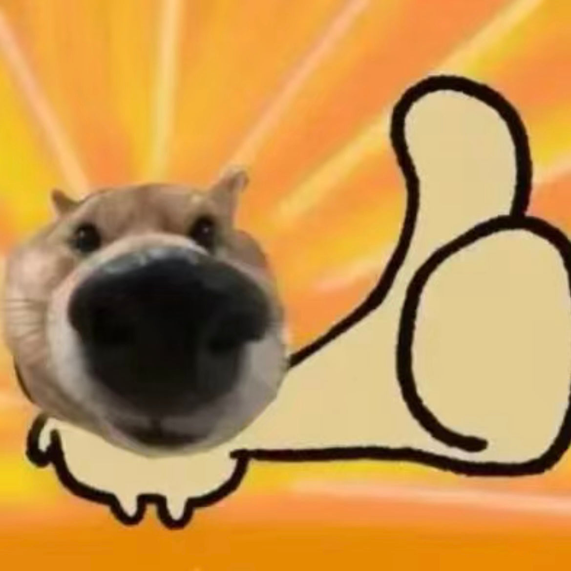 A close-up of a dog's face with a drawn thumbs-up, representing appreciation and encouragement for tipping and supporting locals.