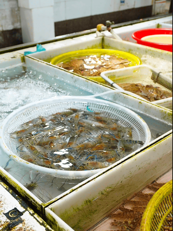 Hangzhou Foodie Tour: Wet Market Bites & Local Street Food