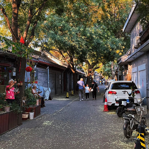 Charming Beijing hutong alley at sunset with locals chatting and visitors strolling under shady trees.